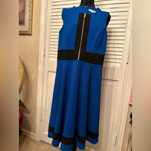 Calvin Klein Sleeveless Sheath Dress